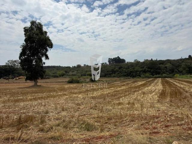 Sítio e chácara venda em Região Imediata de Avaré, Paranapanema