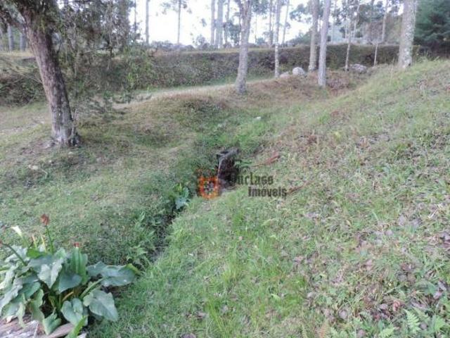 Sítio e chácara venda em Região Imediata de Taubaté-Pindamonhangaba, Região Metropolitana do Vale do Paraíba e Litoral Norte