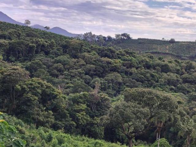 Sítio e chácara venda em Região Geográfica Imediata de Poços de Caldas, Andradas