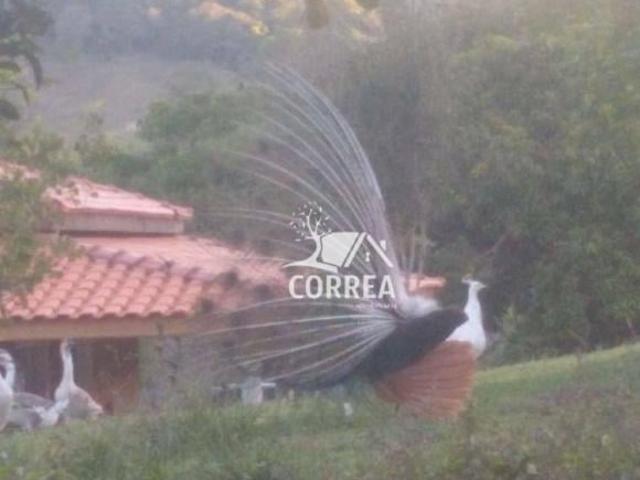Sítio e chácara venda em Região Imediata de Avaré, Avaré