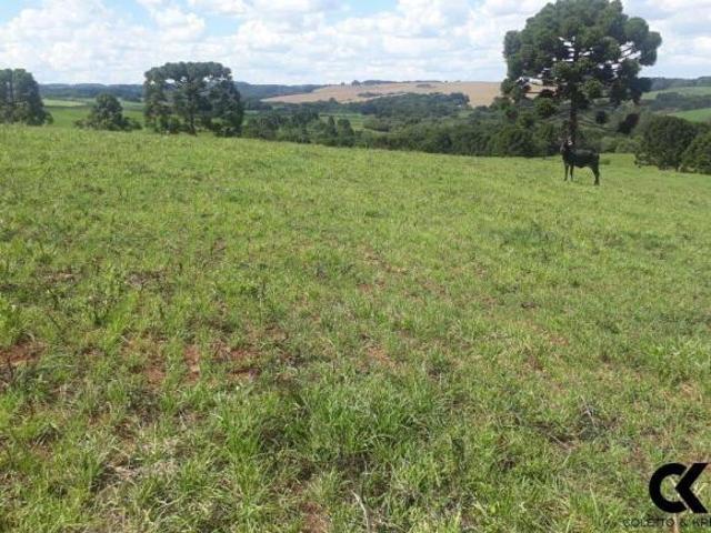 Sítio e chácara venda em Região Geográfica Imediata de Vacaria, Muitos Capões