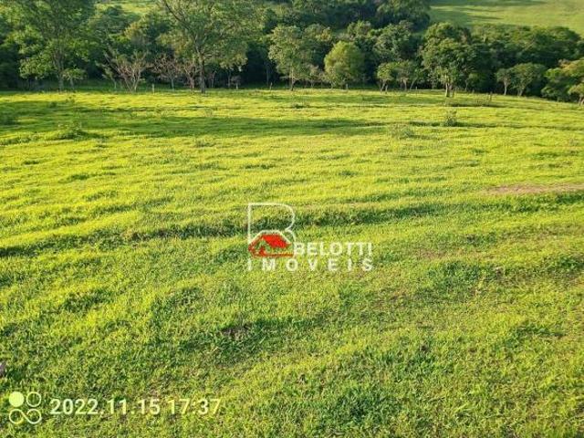 Sítio e chácara venda em Região Imediata de Rio Claro, Região Metropolitana de Piracicaba