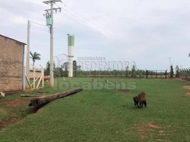Sítio e chácara venda em Região Imediata de São José do Rio Preto, Região Metropolitana de São José do Rio Preto