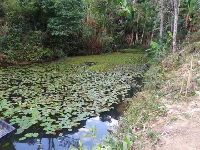 Sítio e chácara venda em Região Geográfica Imediata de Juiz de Fora, Juiz de Fora