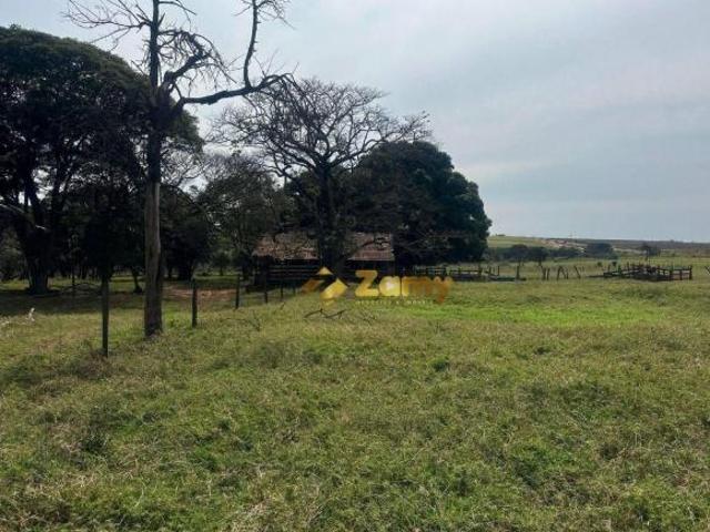 Sítio e chácara venda em Região Geográfica Imediata de Maringá, Nova Esperança
