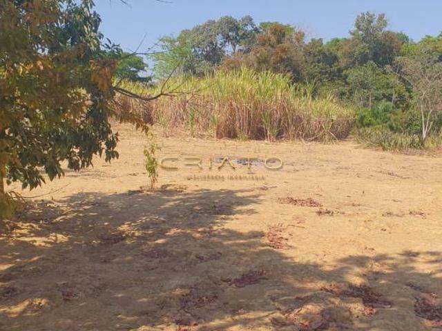 Sítio e chácara venda em Região Geográfica Imediata de Uruaçu - Niquelândia, Niquelândia