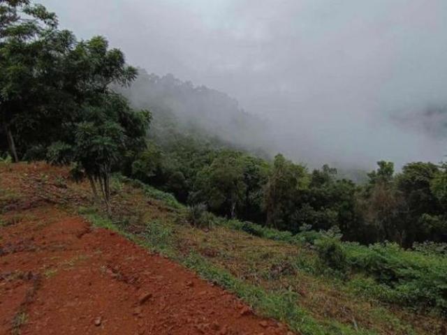 Sítio e chácara venda em Região Geográfica Imediata de Taquara - Parobé - Igrejinha, Três Coroas