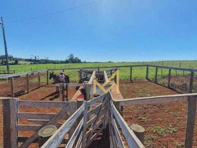 Sítio e chácara venda em Country, Cascavel