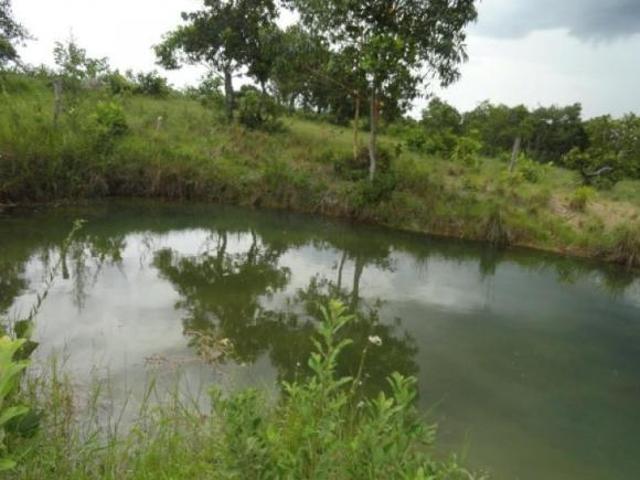 Sítio e chácara venda em Região Geográfica Imediata de Cuiabá, Região Metropolitana do Vale do Rio Cuiabá