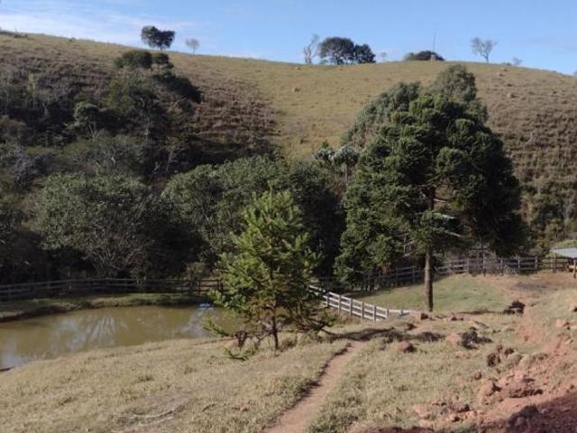 Sítio e chácara venda em Região Imediata de Guaratinguetá, Região Metropolitana do Vale do Paraíba e Litoral Norte