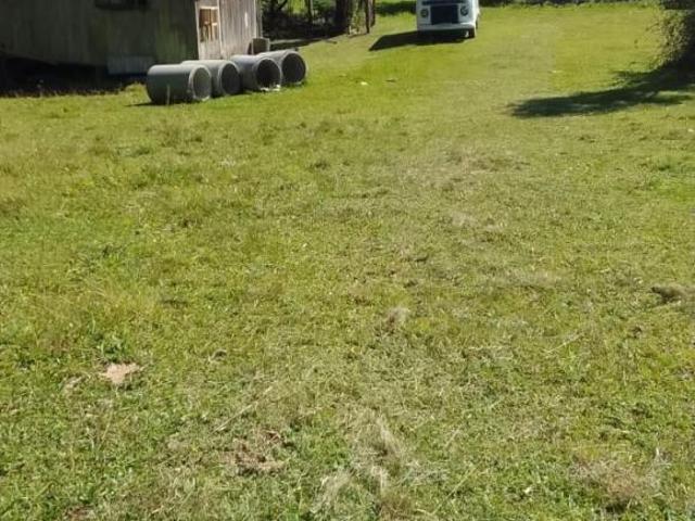Sítio e chácara venda em Região Geográfica Imediata de Caxias do Sul, São Francisco de Paula