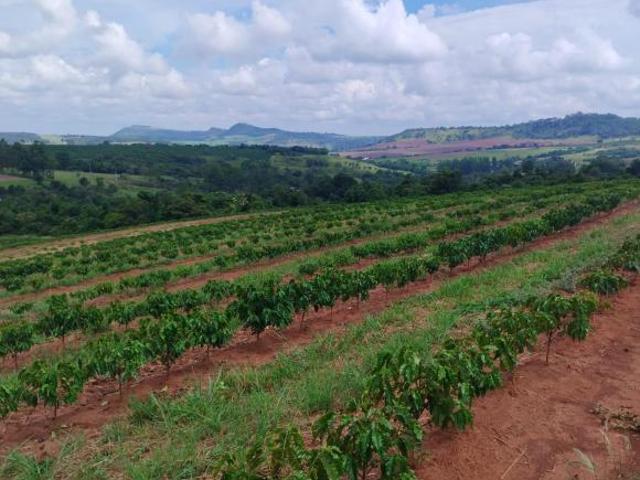 Sítio e chácara venda em Região Imediata de Ribeirão Preto, Região Metropolitana de Ribeirão Preto