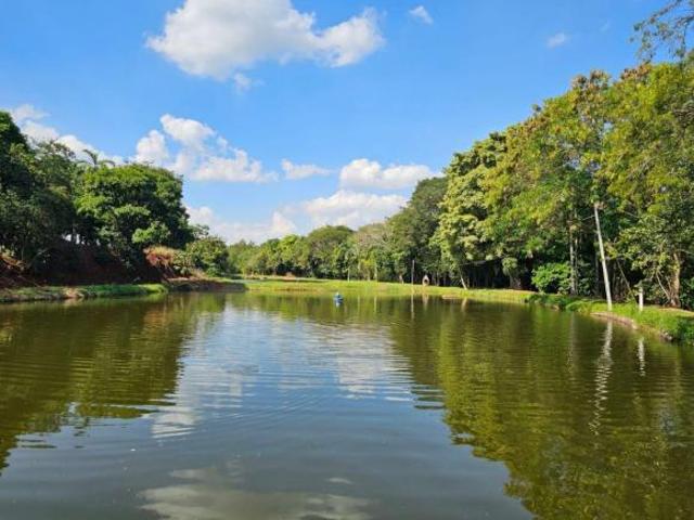 Sítio e chácara venda em Região Geográfica Imediata de Maringá, Floraí