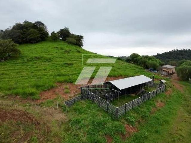 Sítio e chácara venda em Região Geográfica Imediata de Cascavel, Cascavel