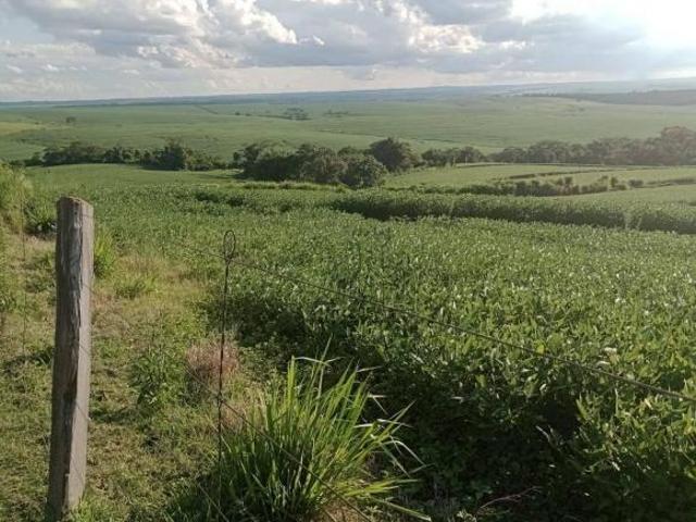 Sítio e chácara venda em Região Geográfica Imediata de Londrina, Bela Vista do Paraíso