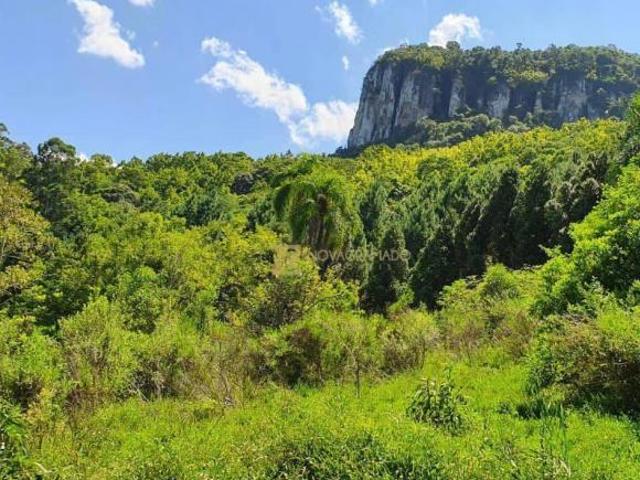 Sítio e chácara venda em Região Geográfica Imediata de Caxias do Sul, Gramado