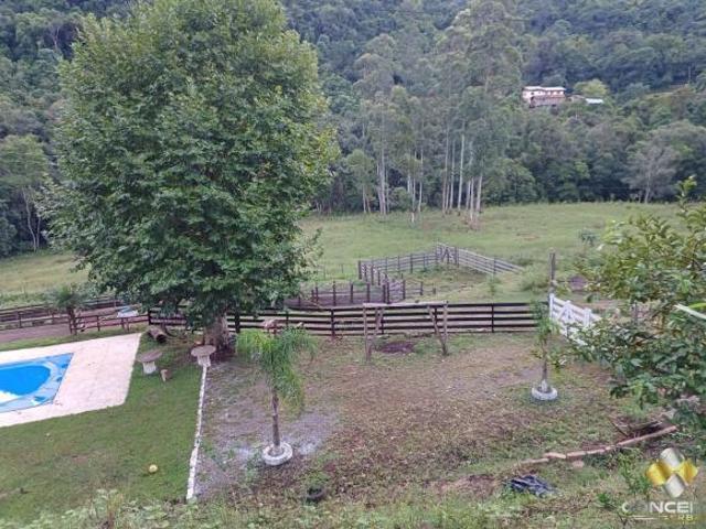 Sítio e chácara venda em Região Geográfica Imediata de Bento Gonçalves, Santa Tereza