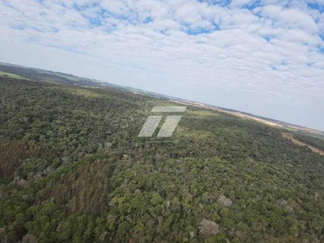 Sítio e chácara venda em Região Geográfica Imediata de Cascavel, Ibema