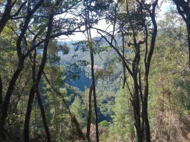 Sítio e chácara venda em Região Geográfica Imediata de Caxias do Sul, Canela