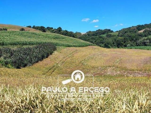 Sítio e chácara venda em Região Geográfica Imediata de Francisco Beltrão, Renascença