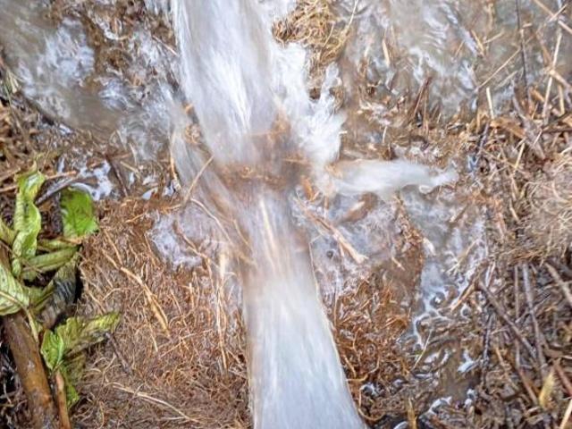 Sítio e chácara venda em Região Geográfica Imediata de Belo Horizonte, Região Metropolitana de Belo Horizonte