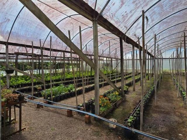 Sítio e chácara venda em Região Geográfica Imediata de Santa Cruz do Sul, Vera Cruz