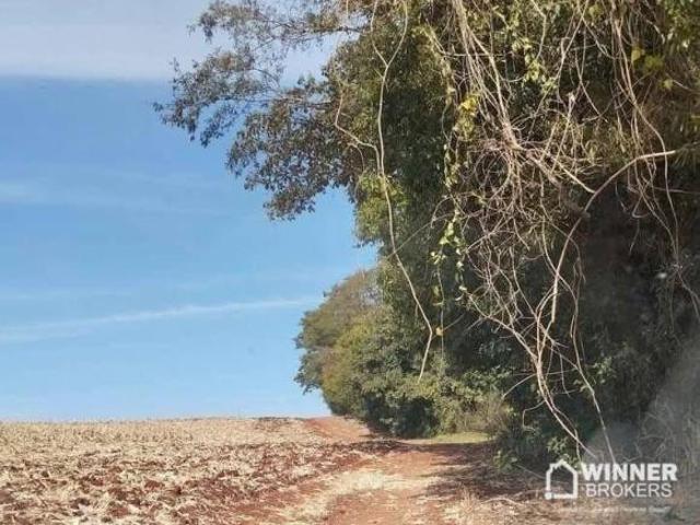 Sítio e chácara venda em Região Geográfica Imediata de Londrina, Rolândia