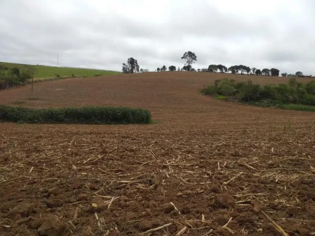Fazenda venda em Região Imediata de Itapetininga, Região Metropolitana de Sorocaba