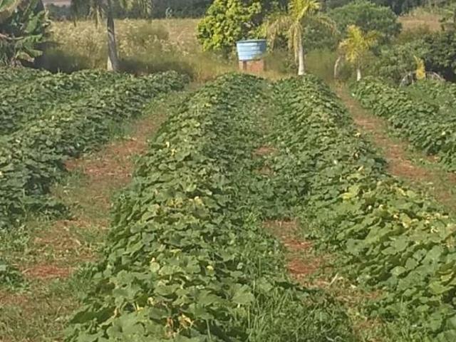 Sitio venda em Nova América da Colina