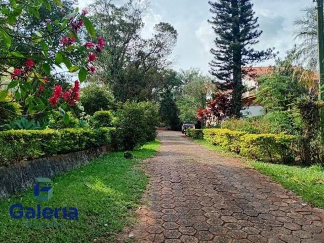 Sítio e chácara venda em Região Imediata de Ribeirão Preto, Região Metropolitana de Ribeirão Preto