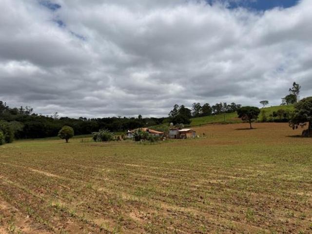 Sítio e chácara venda em Região Geográfica Imediata de Conselheiro Lafaiete, Entre Rios de Minas