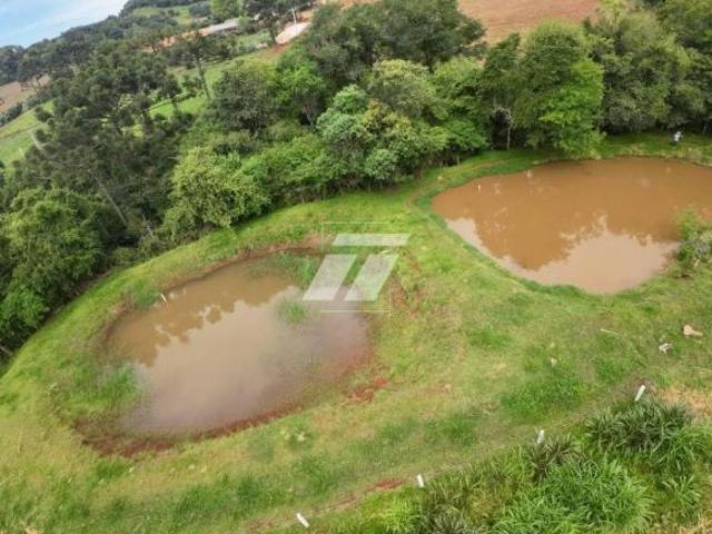 Sítio e chácara venda em Região Geográfica Imediata de Cascavel, Cascavel