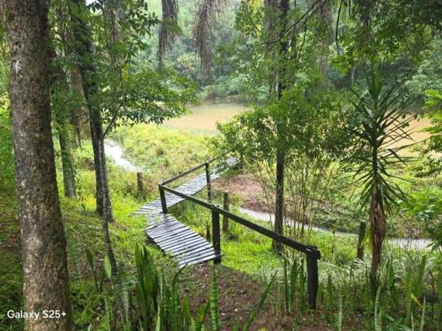 Sítio e chácara venda em Região Geográfica Imediata de Novo Hamburgo - São Leopoldo, Região Metropolitana de Porto Alegre