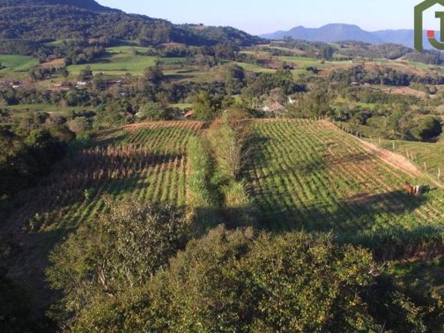 Sítio e chácara venda em Região Geográfica Imediata de Santa Maria, Dona Francisca