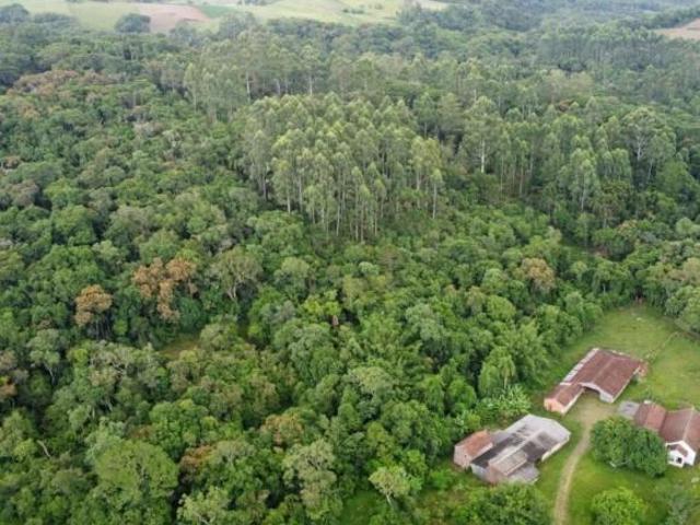 Sítio e chácara venda em Região Geográfica Imediata de Santa Cruz do Sul, Santa Cruz do Sul