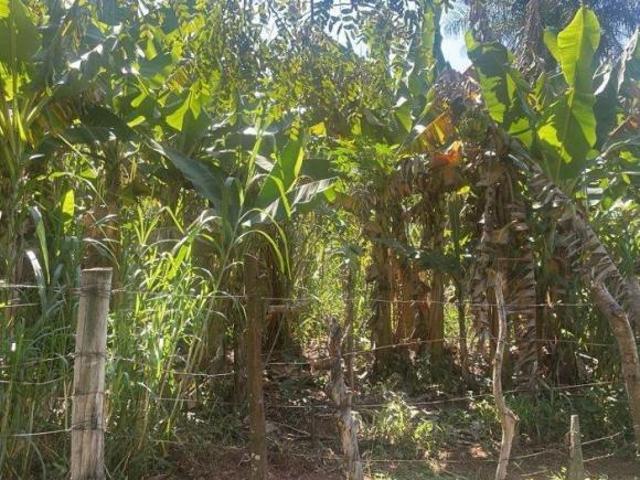 Sítio e chácara venda em Região Imediata de Bauru, Arealva