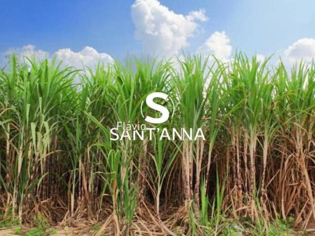 Sítio e chácara venda em Região Imediata de Fernandópolis, Indiaporã
