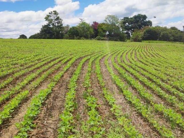 Sítio e chácara venda em Região Imediata de Itapeva, Itararé
