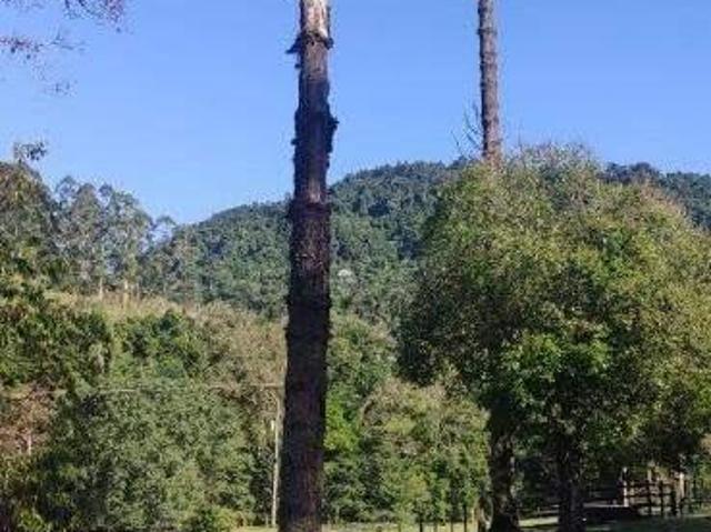 Sítio e chácara venda em Região Geográfica Imediata de Encantado, Anta Gorda
