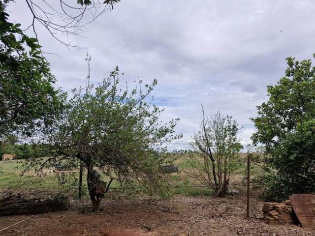 Sítio e chácara venda em Região Imediata de Fernandópolis, Macedônia