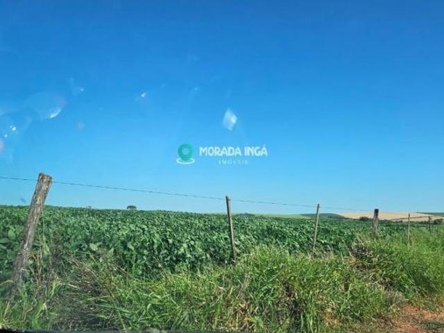 Sítio e chácara venda em Região Geográfica Imediata de Maringá, Florida