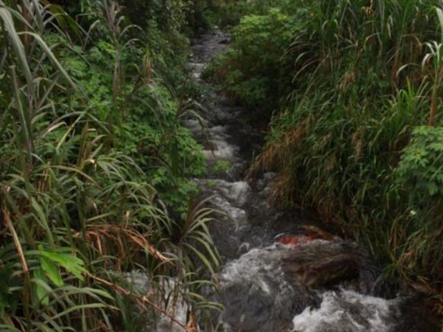 Sítio e chácara venda em Região Imediata de Taubaté-Pindamonhangaba, Região Metropolitana do Vale do Paraíba e Litoral Norte