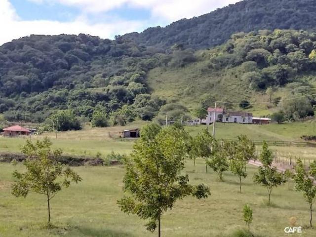 Sítio e chácara venda em Região Geográfica Imediata de Santa Maria, Santa Maria
