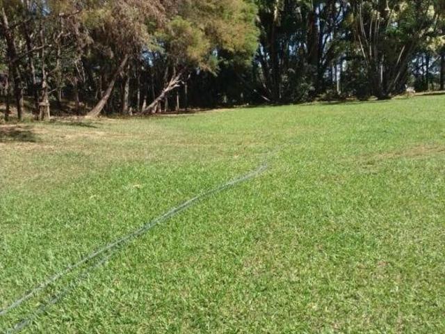Sítio e chácara venda em Região Geográfica Imediata de Catalão, Campo Alegre de Goiás