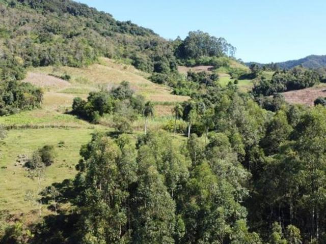 Sítio e chácara venda em Região Geográfica Imediata de Santa Cruz do Sul, Sinimbu