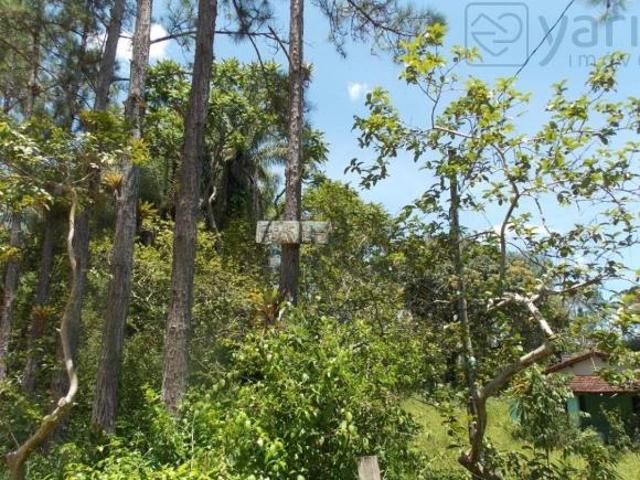 Sítio e chácara venda em Região Imediata de Registro, Juquia