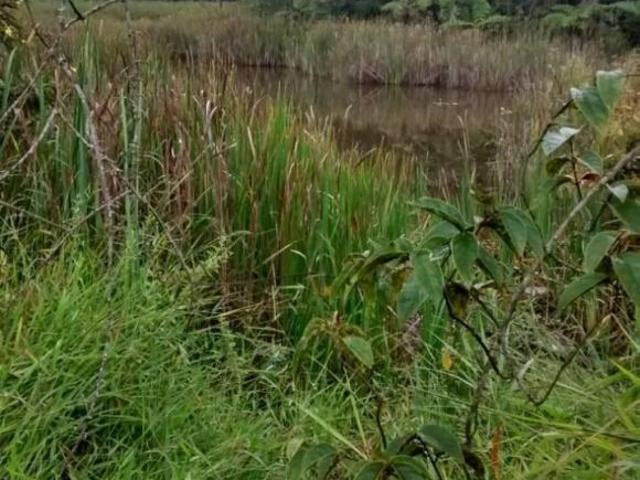 Sítio e chácara venda em Região Geográfica Imediata de Itabira, Bom Jesus do Amparo