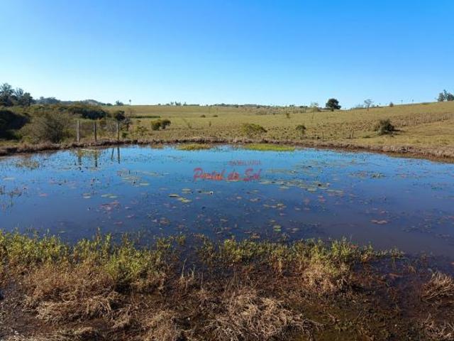Sítio e chácara venda em Região Geográfica Imediata de Santo Antônio da Platina, Guapirama