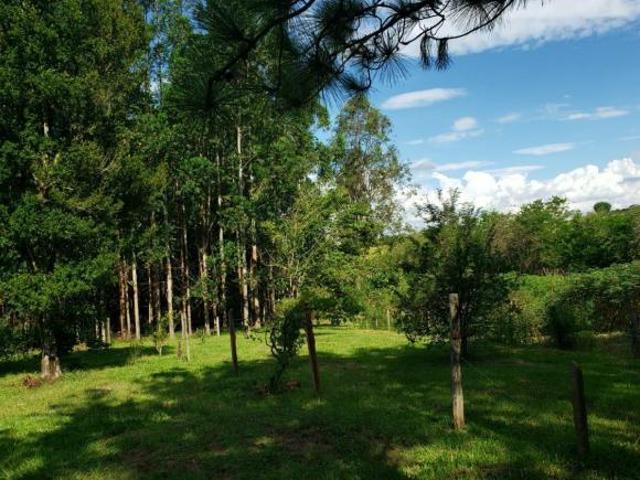 Sítio e chácara venda em Quadra