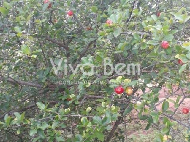 Sítio e chácara venda em Região Geográfica Imediata de Montes Claros, Mirabela